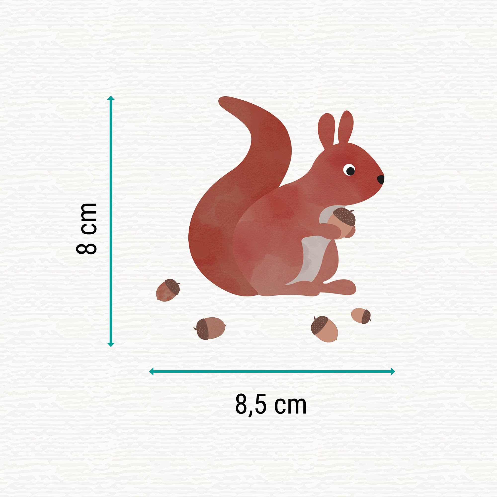 Bügelbild mit der Illustration eines Eichhörnchens mit Nüssen auf transparentem Hintergrund