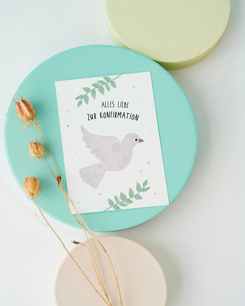 Konfirmationskarte mit weißer Taube und Olivenzweig auf zartgrünem Hintergrund – Aufschrift ‚Alles Liebe zur Konfirmation‘ – stilvolle, symbolhafte Illustration von byClou