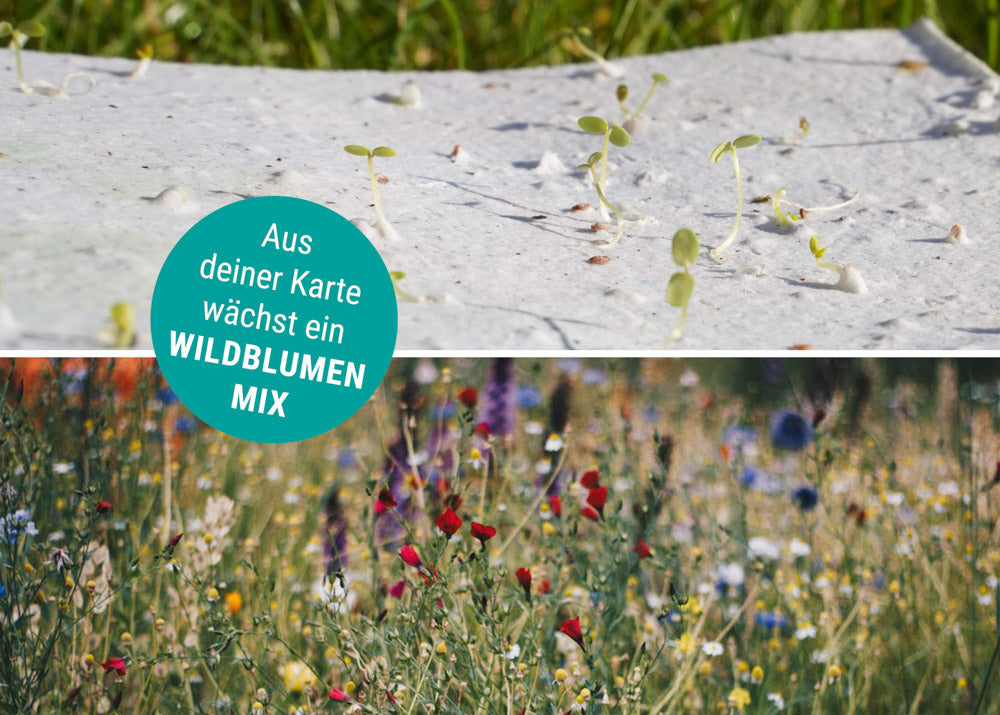 Samenpapier Karte - Blumen Biene  "Blumen für dich"